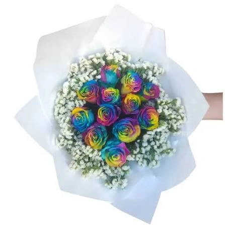 Ramo de 12 rosas rainbow naturales importadas